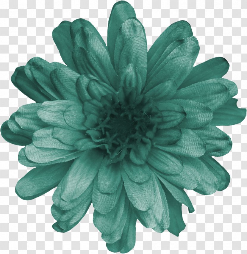 Chrysanthemum Cut Flowers Turquoise - Petal Transparent PNG