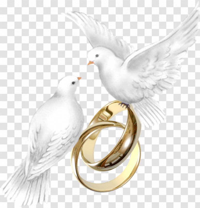 ¿Vale La Pena Casarse? Beak Feather Wedding Ring - Wing Transparent PNG