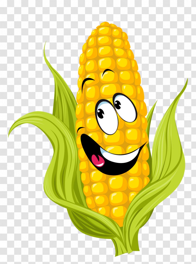 Corn On The Cob Drawing Sweet Clip Art - Corncob - Plant Transparent PNG