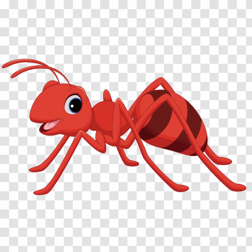 Ant Cartoon Clip Art - Pest - Red Ants Transparent PNG