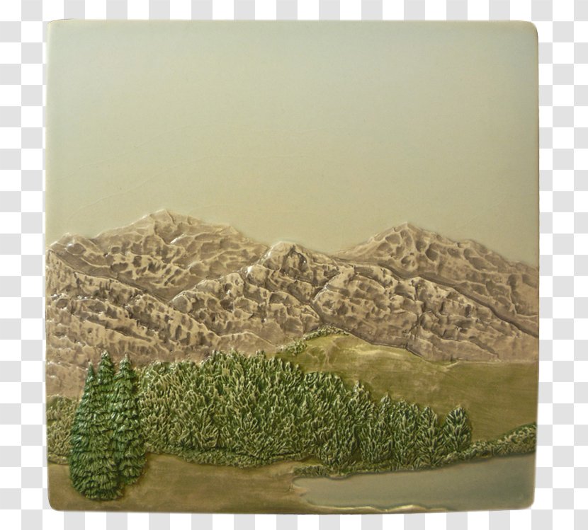 American Black Bear Tile Collection Landscape Ecoregion - Ecosystem Transparent PNG