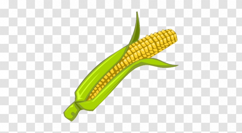 Corn On The Cob Vegetable Sweet Corn Corn Vegetarian Food Transparent PNG