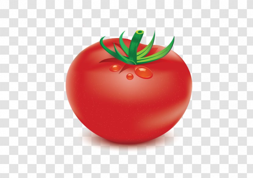 Plum Tomato Food Vegetable Bush - Superfood Transparent PNG