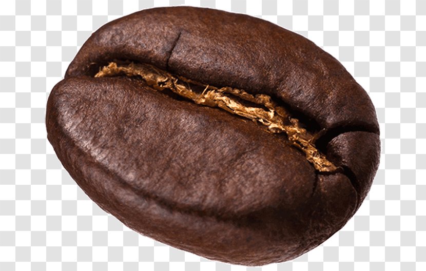 Chocolate-covered Coffee Bean Kopi Luwak Espresso Cafe - Fresh Transparent PNG