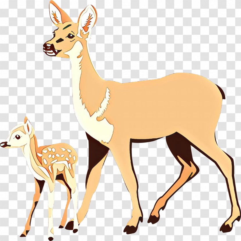 White-tailed Deer Clip Art Illustration Drawing - Animal Transparent PNG