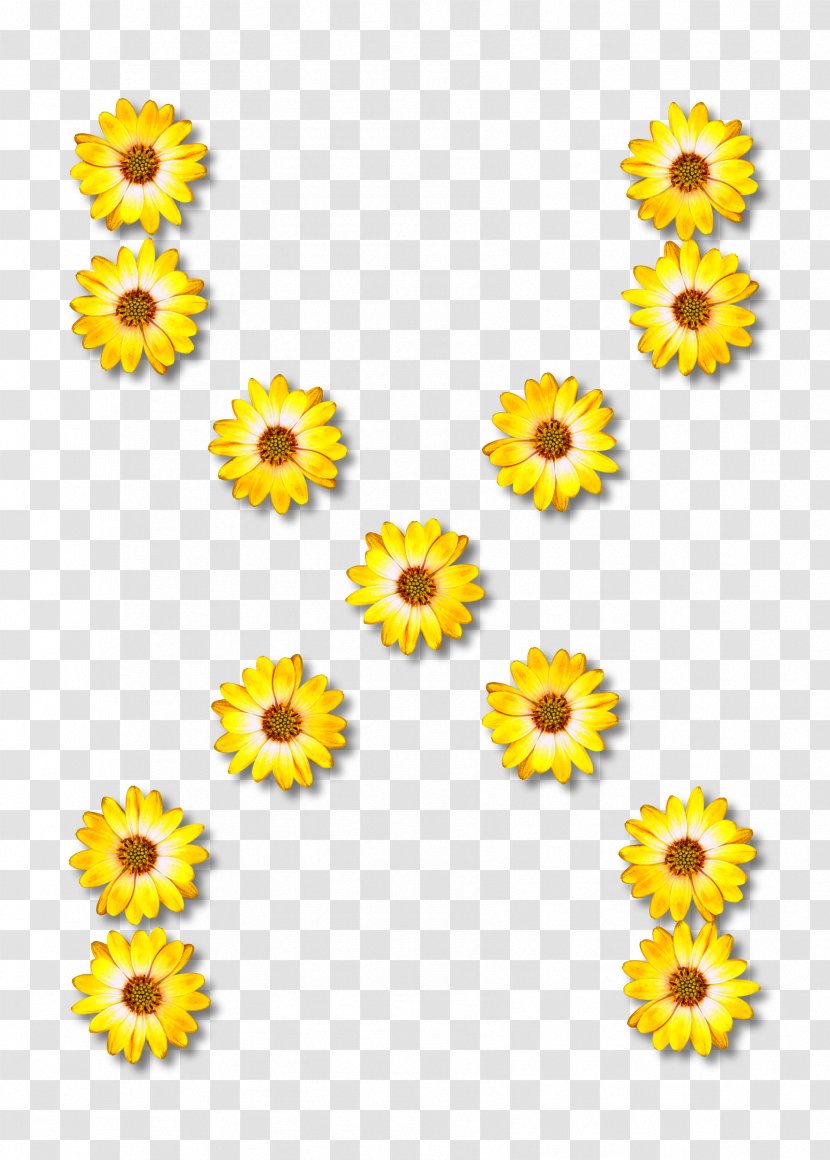 Symbol Drawing - Daisy Family - Zipper Transparent PNG