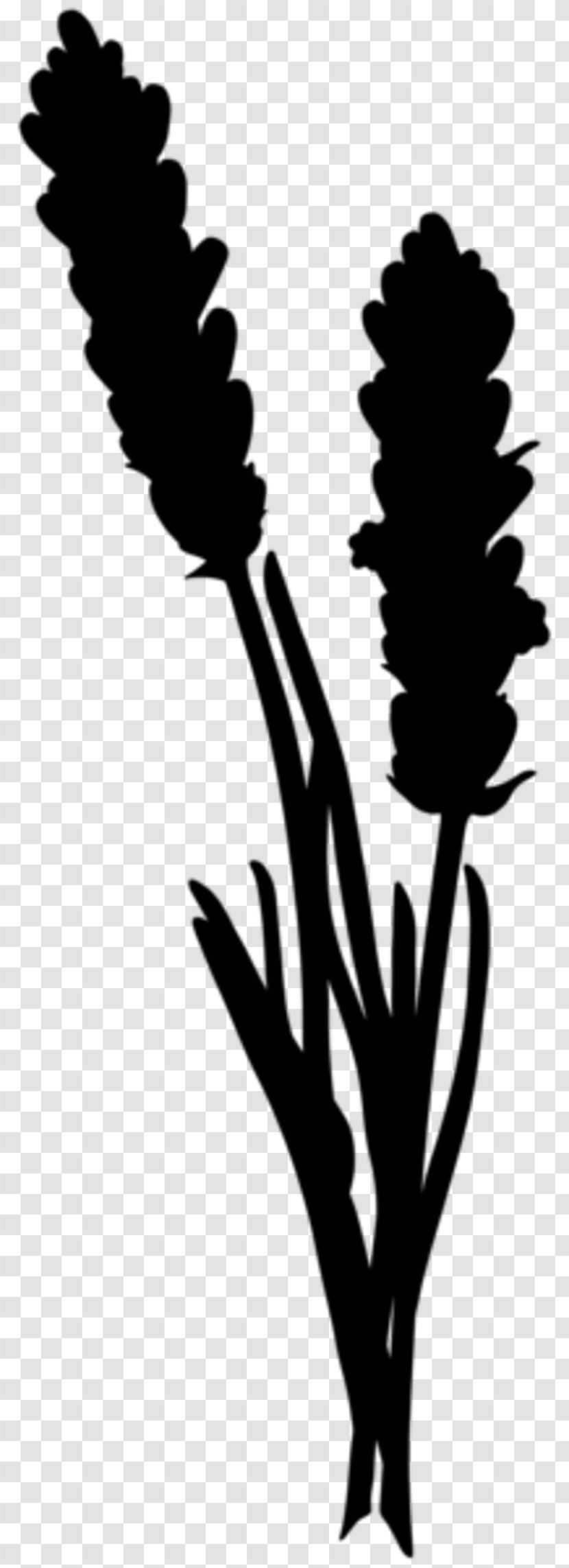 Flower Plant Stem Leaf Clip Art Silhouette - Blackandwhite - Flowering Transparent PNG