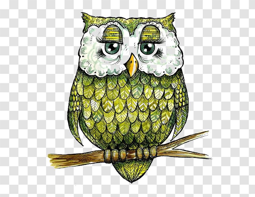 Baby Owls Bird The Four Spoonflower - Color - Owl Transparent PNG