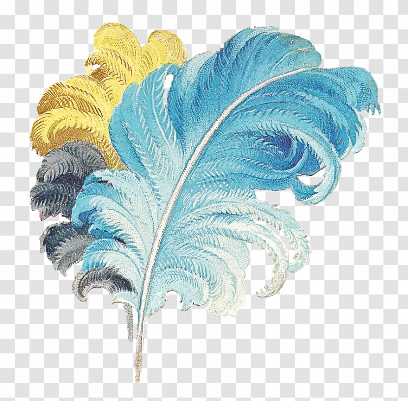 Feather Transparent PNG