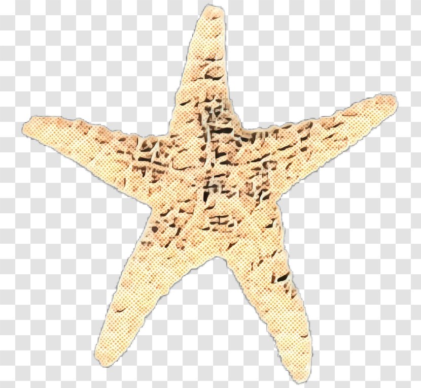 Star Cartoon - Beige Transparent PNG