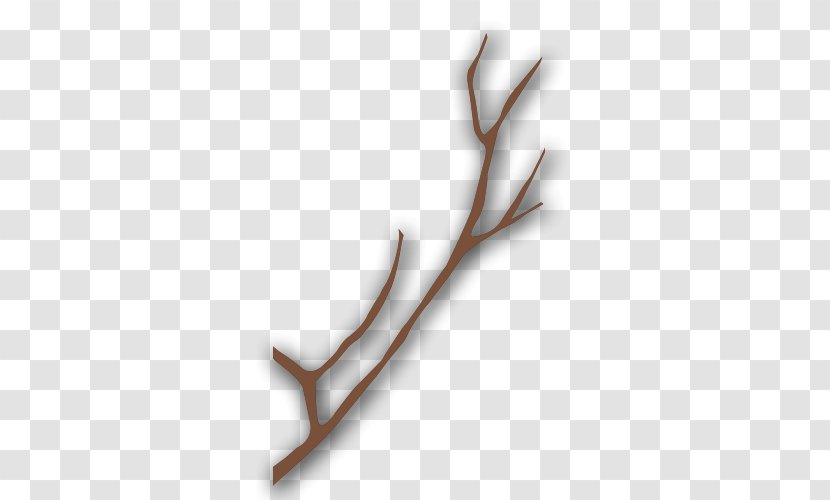 Gray Tree Branch - Designer - Branches Transparent PNG