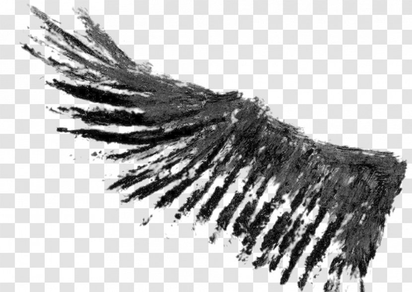 Download - Black And White - Dark Wings Transparent PNG