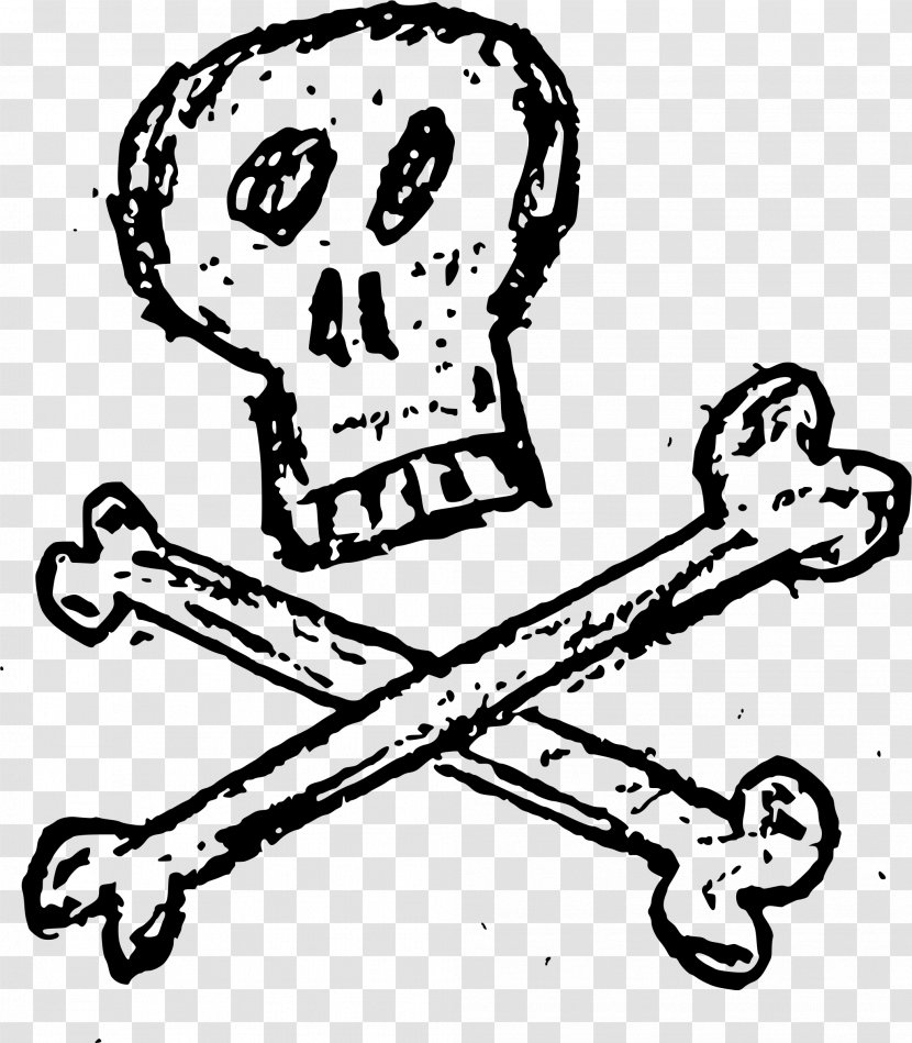 Skull Clip Art - Bones Transparent PNG