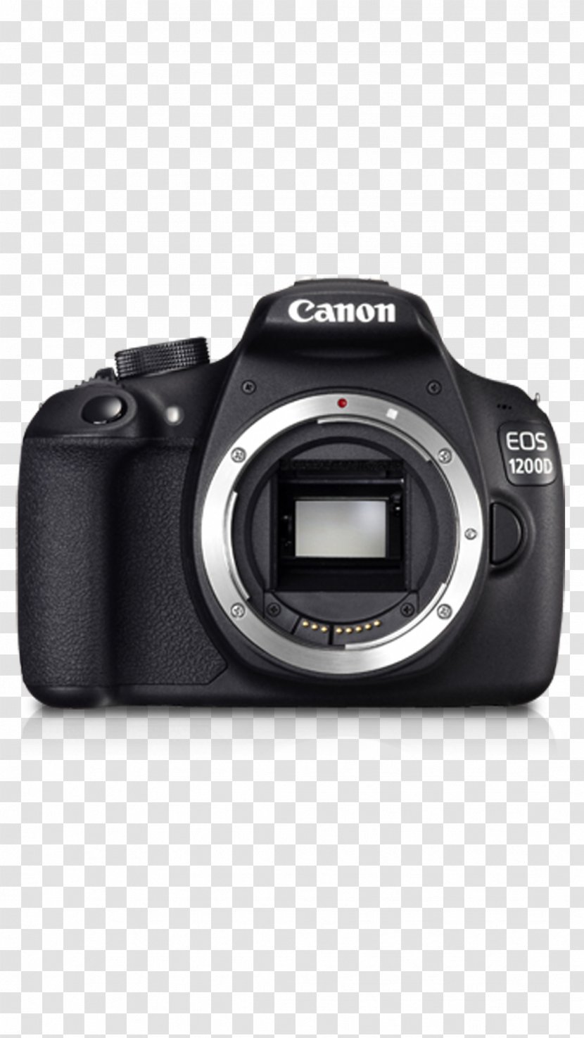 Canon EOS 200D EF-S 18–55mm Lens 500D Digital SLR Camera - Accessory Transparent PNG