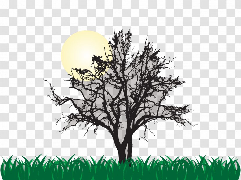 Tree Euclidean Vector Illustration - Sky - Sunrise Under The Dead Transparent PNG