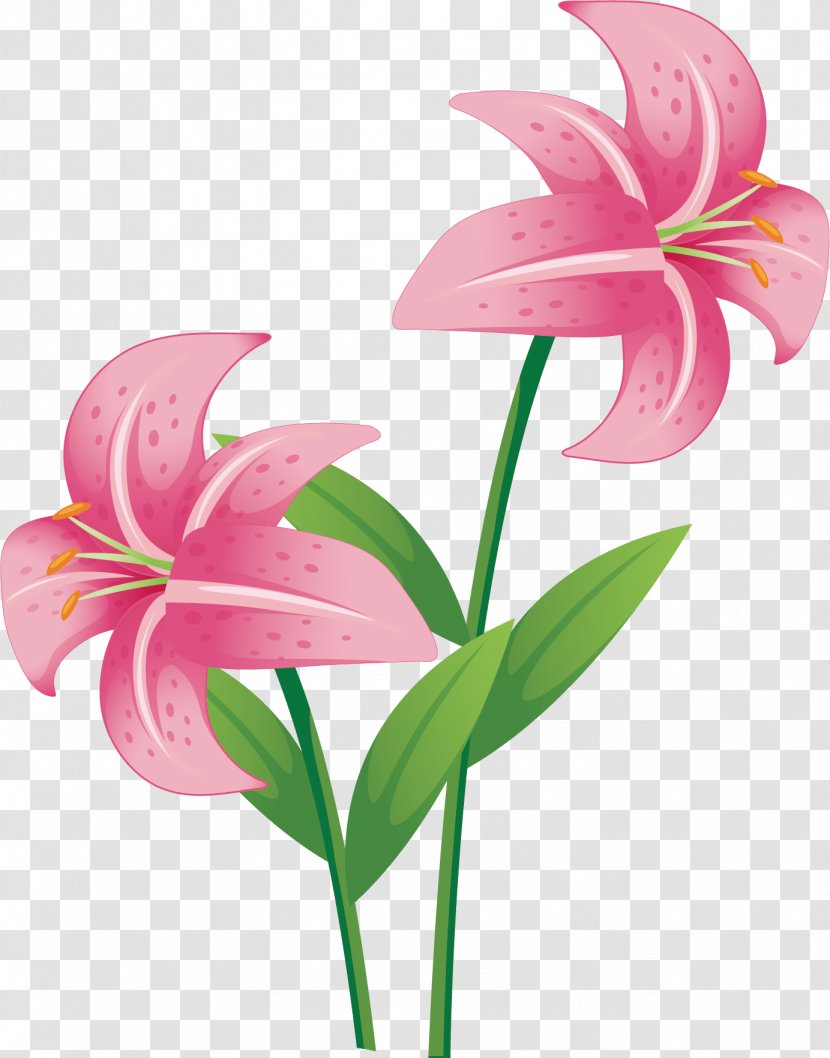 Drawing Stock Photography Vector Graphics Image Illustration - Plant Stem - Pink Larkspur Flower Transparent PNG