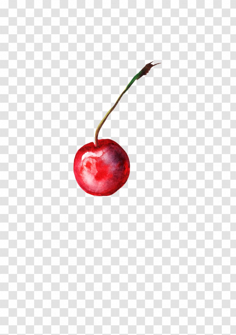 Cherry Balloon Fly 1000 COLOR Garnish Transparent PNG