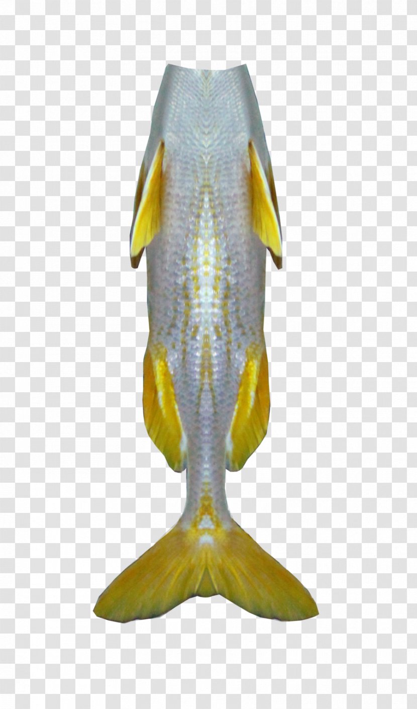Fish - Mermaid Tails Transparent PNG
