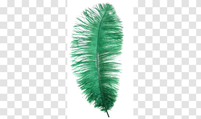 emerald green ostrich feathers