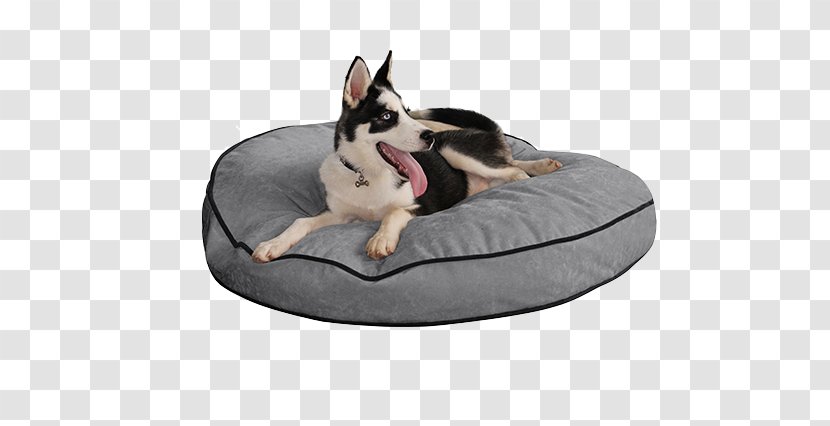 Dog Breed Bed Service Couch - Furniture Transparent PNG