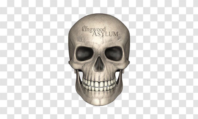 Skull Bone Human Skeleton - And Crossbones Transparent PNG