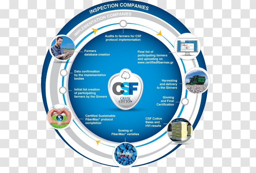 Cotton Agriculture Science Stoneville Pedigreed Seed Company, Inc. Crop - Communication - Certified Turkey Transparent PNG