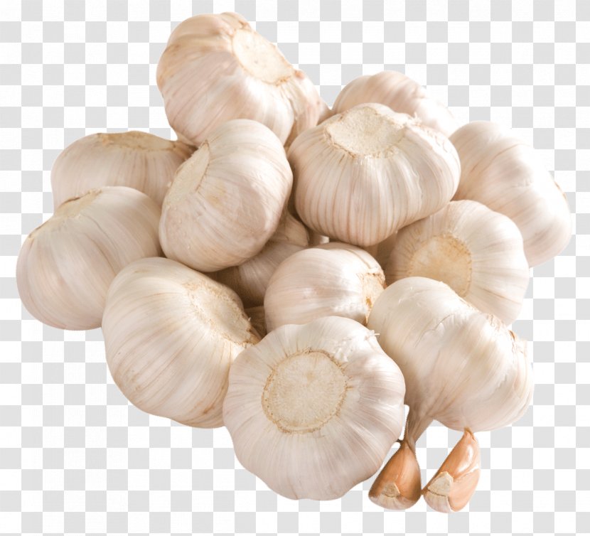 Garlic Potato Onion Vegetable - Genus Transparent PNG
