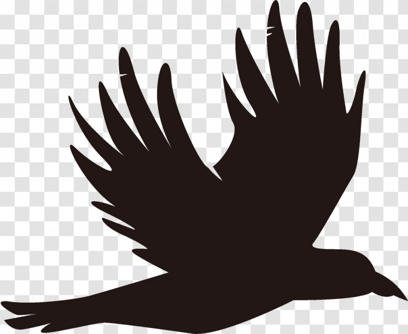 Raven Halloween Crow - Hand - Logo Silhouette Transparent PNG