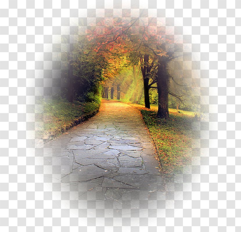Autumn Landscape Painting - Sunlight Transparent PNG
