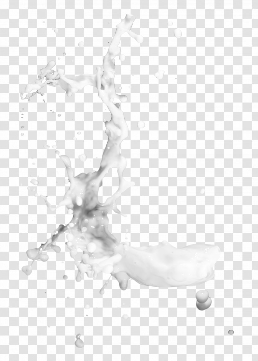 Milk Desktop Wallpaper Photography Monochrome - Flower Transparent PNG