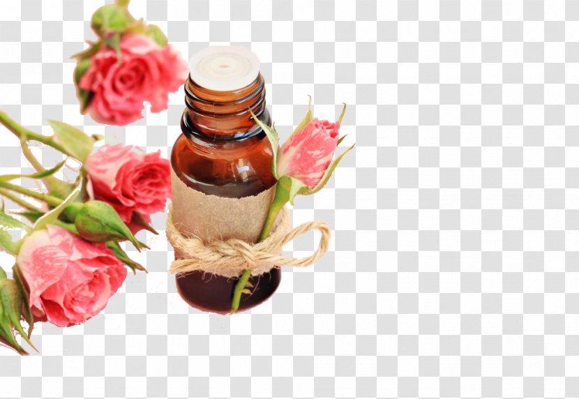 Rose Water Toner Cosmetics Essential Oil - Stock Photography - Herbal Apothecary Transparent PNG