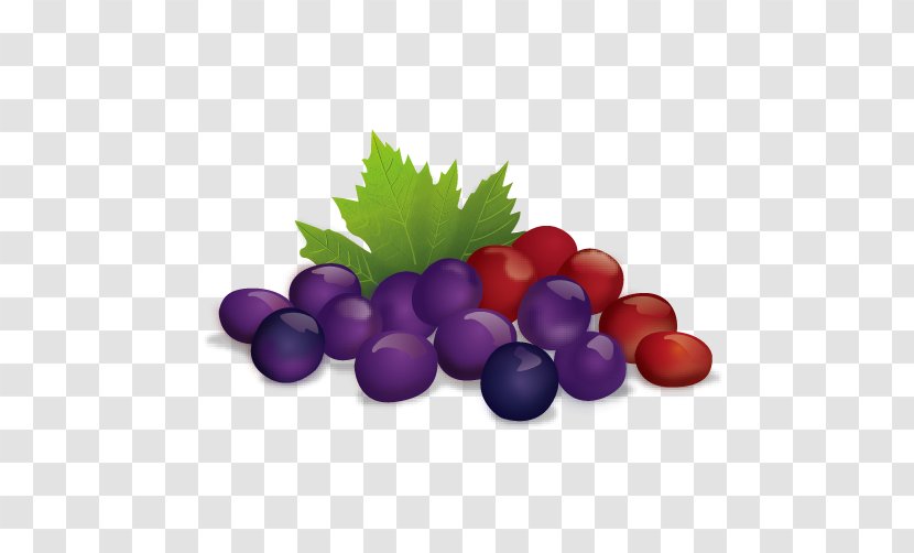 Juice Fruit Illustration - Grape Transparent PNG