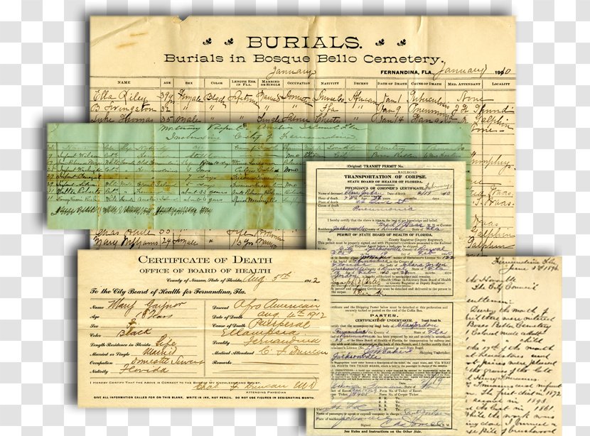 Burial Death Certificate Document Cemetery Headstone - Paper - Remember History Transparent PNG