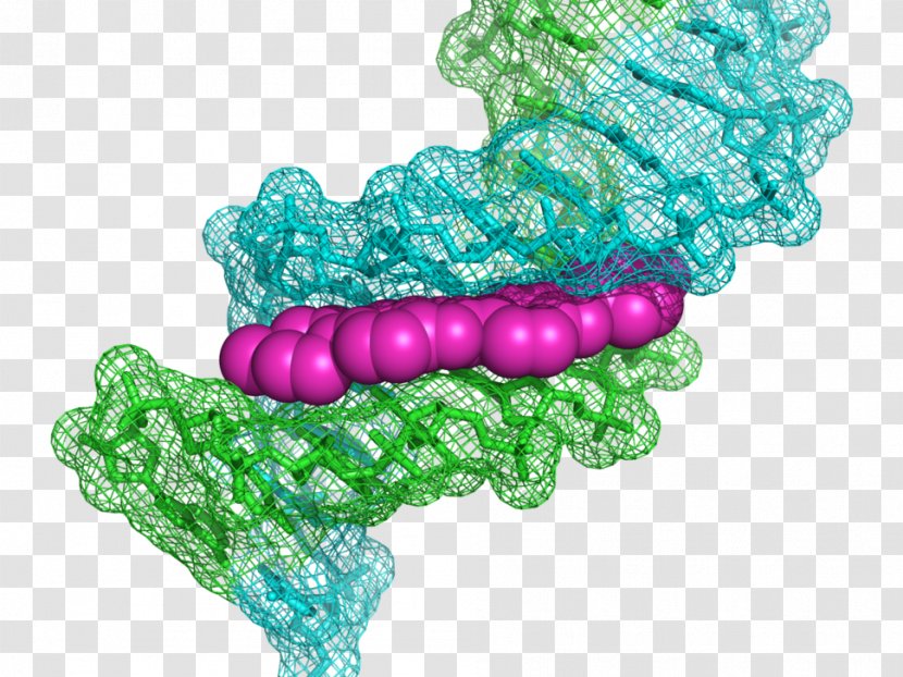 Hoechst AG Stain Bisbenzimide DNA Staining - Bead - Fluorophore Transparent PNG