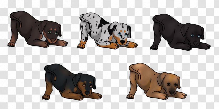 Dog Breed Puppy Shoe Transparent PNG