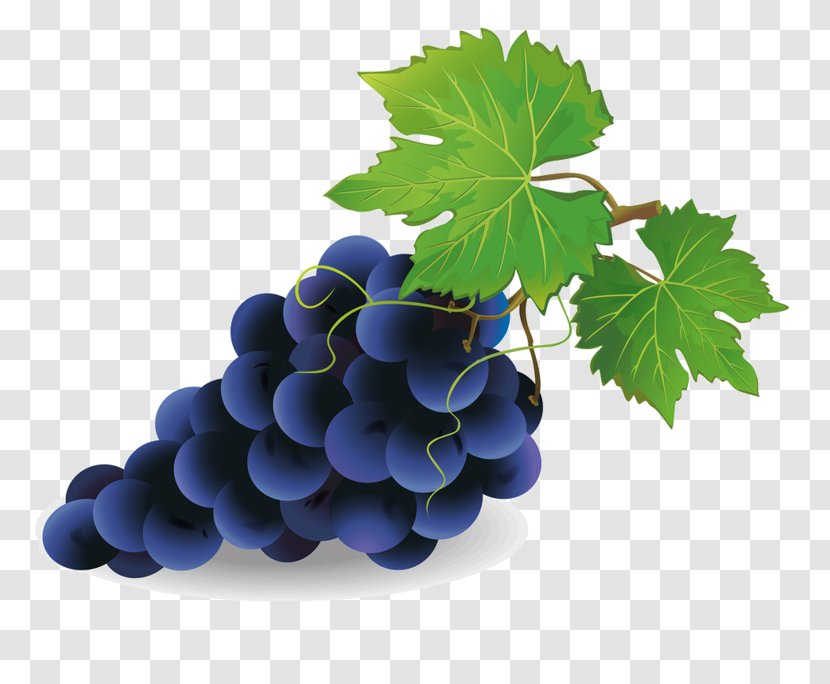 Grape Pie Common Vine Wine Clip Art Transparent PNG