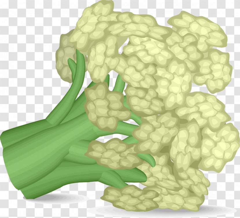 Cauliflower Vegetable Broccoli Clip Art - Asparagus Transparent PNG