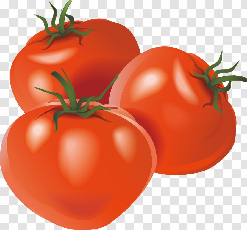 Vegetable Tomato Illustration - Auglis - Decorative Hand Painted Tomatoes Transparent PNG