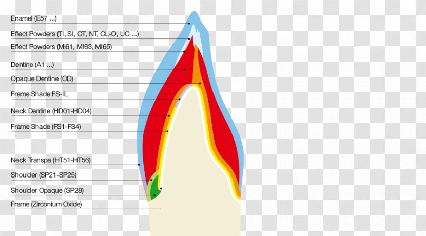 Graphic Design Diagram Line - Triangle - Effect Chart Of Dental Restoration Transparent PNG