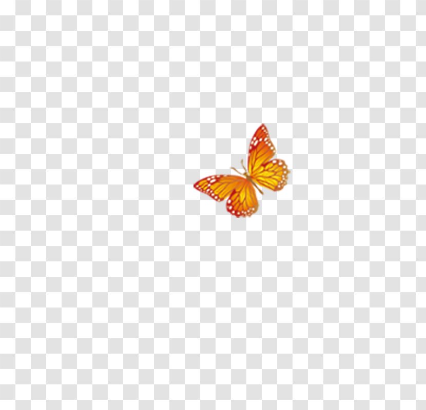 Butterfly Pattern - Petal Transparent PNG