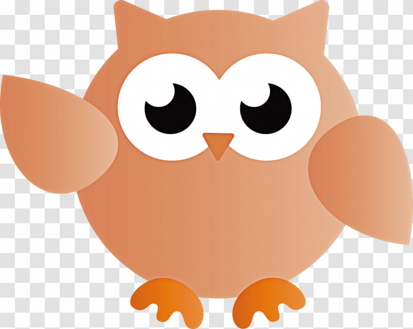 Birds Owls Finches Beak Bird Of Prey Transparent PNG