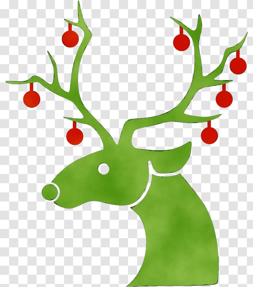 Holly - Deer - Branch Tree Transparent PNG