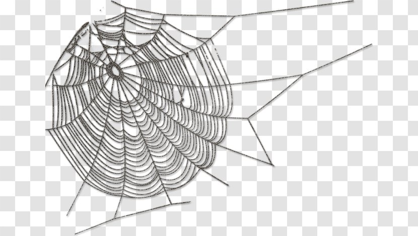 Spider Web Silk - Monochrome Transparent PNG