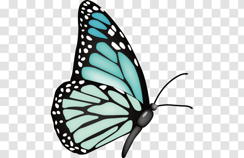 Monarch Butterfly Clip Art - Wing Transparent PNG