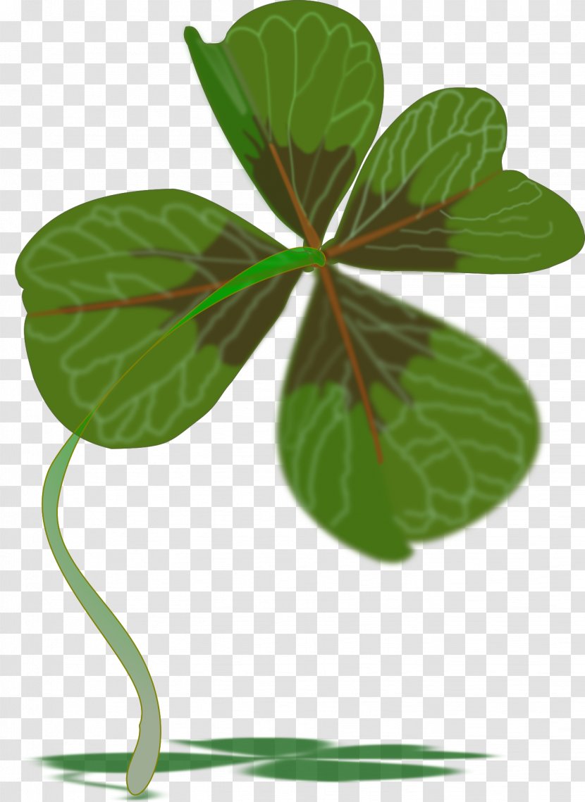 Four-leaf Clover Plant Shamrock Luck - Flower - Hand-painted Transparent PNG