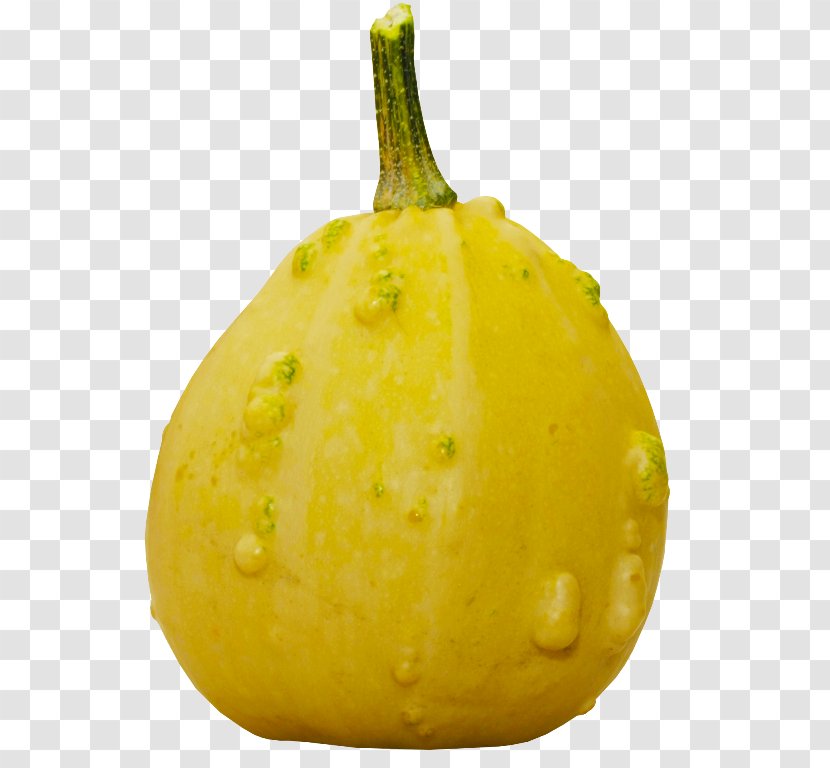 Pattypan Squash Summer Winter Cucurbita Vegetarian Cuisine - Capsicum - Melon Transparent PNG