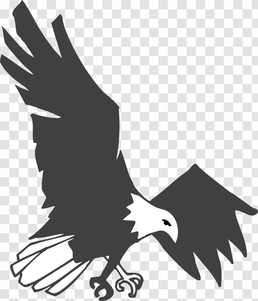 Bald Eagle Clip Art Bird Openclipart Transparent PNG