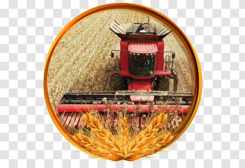 Mechanised Agriculture Combine Harvester Common Sunflower - Tractor Transparent PNG
