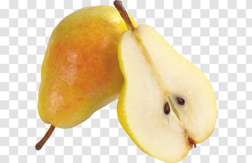 Asian Pear Food Pyrus × Bretschneideri Fruit - Photography - Anatomy Transparent PNG