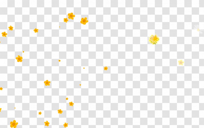 Flower Orange - Yellow - Floral Transparent PNG